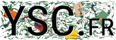 YSC Header